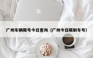 广州车辆限号今日查询（广州今日限制车号）