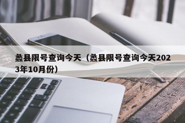 蠡县限号查询今天（蠡县限号查询今天2023年10月份）-第1张图片-瓜子生活百科-提供有帮助的生活资讯信息